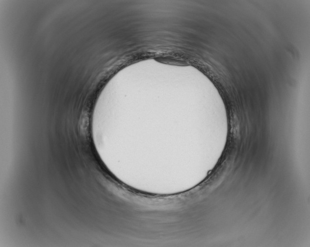 X0000113010036200909241401