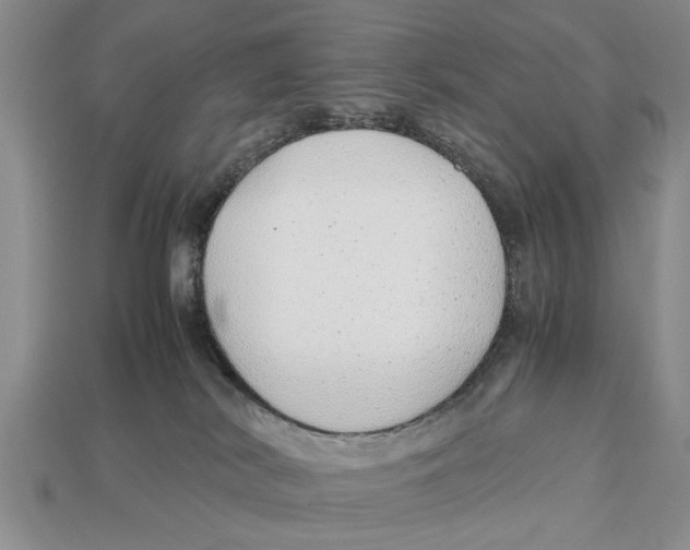 X0000113010038200909241401