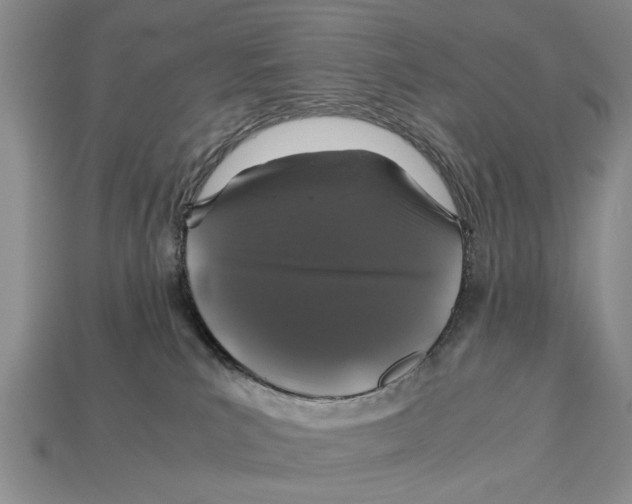 X0000113010039200909241401