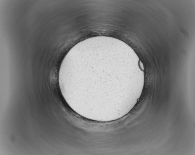 X0000113010040200909241401