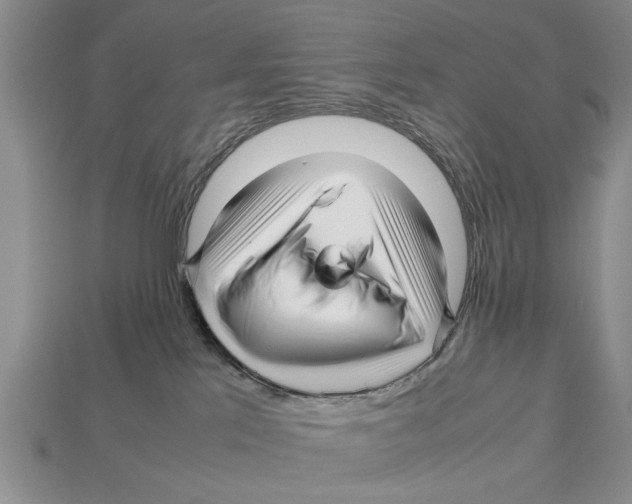 X0000113010041200909241401