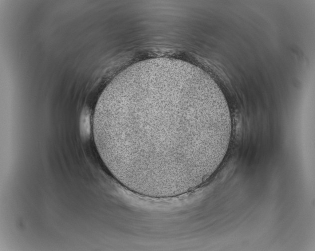 X0000113010042200909241401