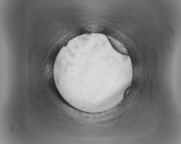 X0000113010043200909241401