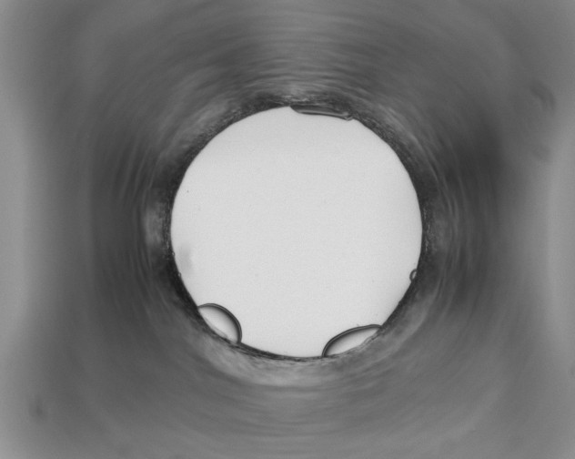 X0000113010044200909241401