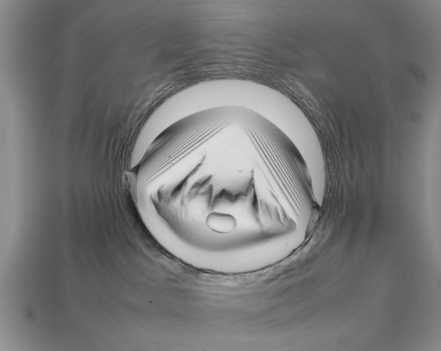 X0000113010045200909241401
