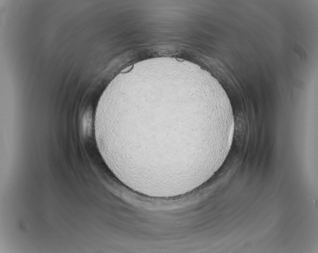 X0000113010046200909241401