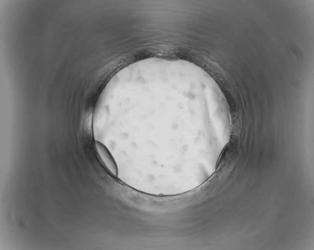 X0000113010047200909241401