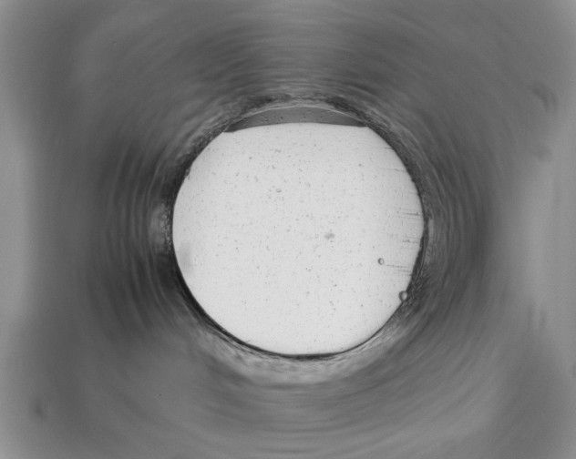 X0000113010048200909241401