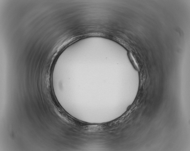 X0000113010050200909241401