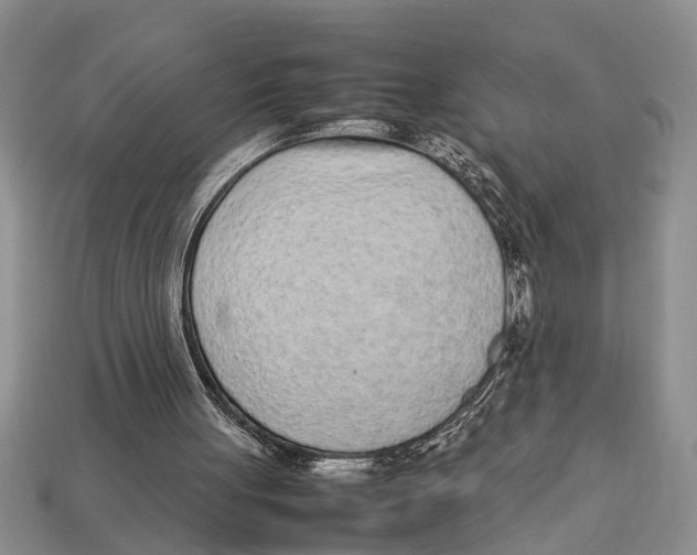 X0000113010051200909241401