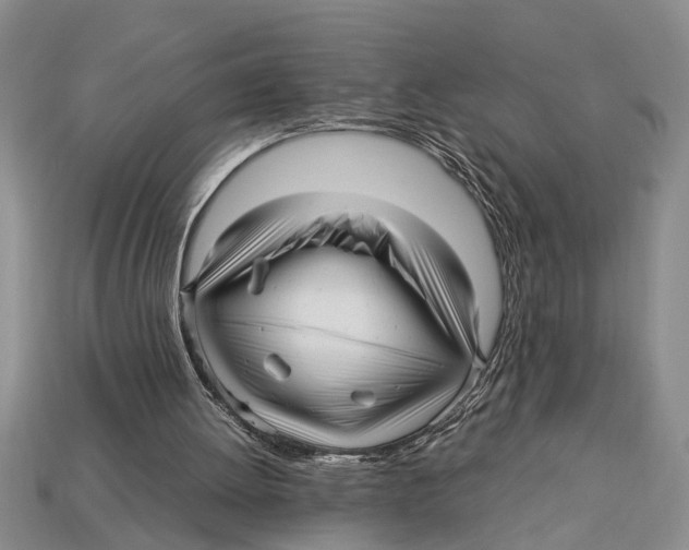 X0000113010052200909241401