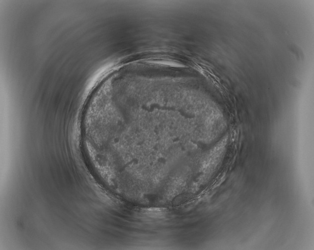 X0000113010053200909241401