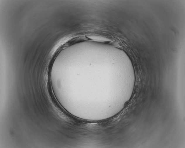 X0000113010054200909241401