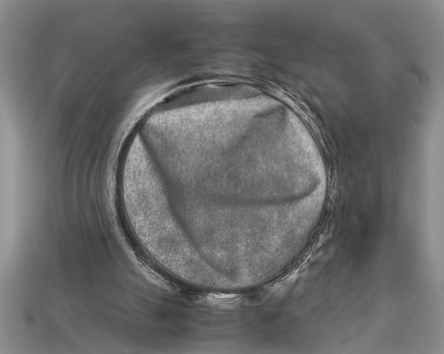 X0000113010055200909241401