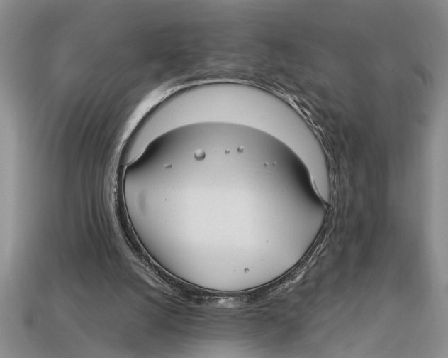 X0000113010056200909241401