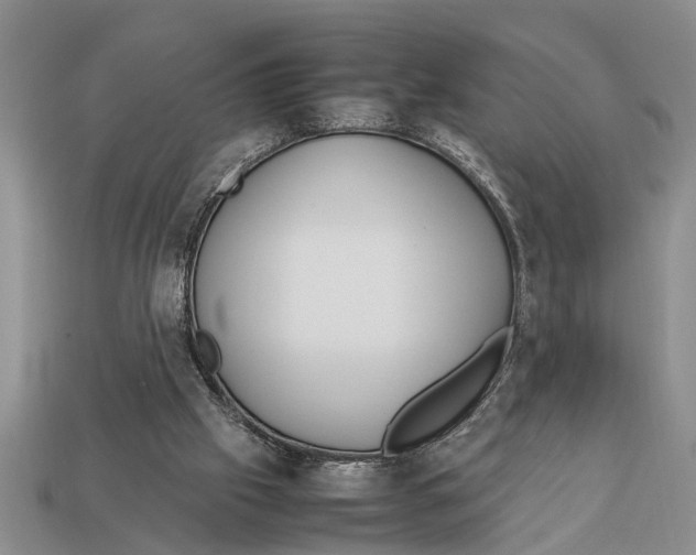 X0000113010057200909241401