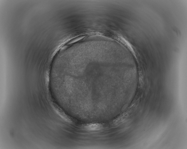 X0000113010059200909241401