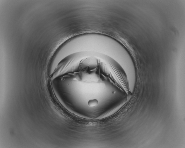 X0000113010060200909241401