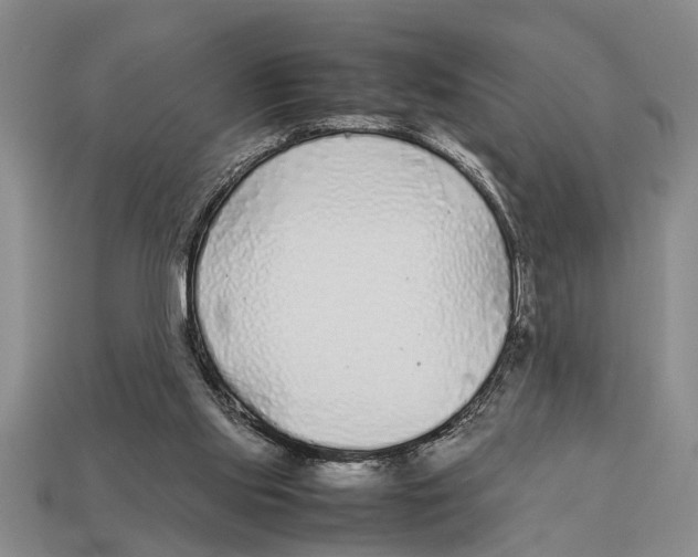 X0000113010061200909241401