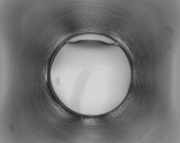 X0000113010062200909241401