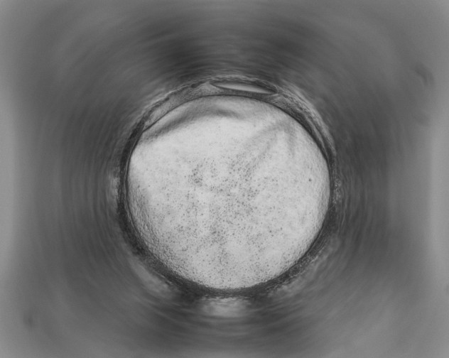 X0000113010063200909241401