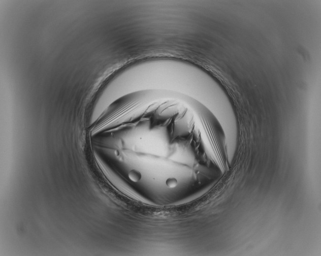 X0000113010064200909241401