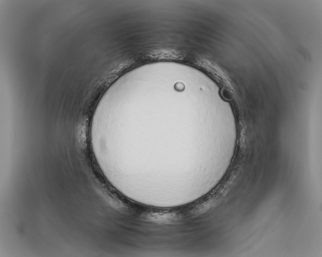 X0000113010065200909241401