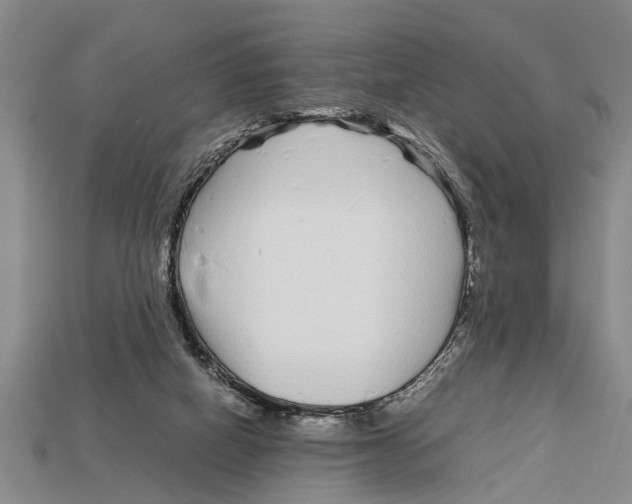 X0000113010066200909241401
