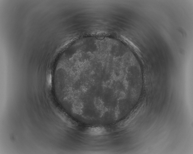 X0000113010067200909241401