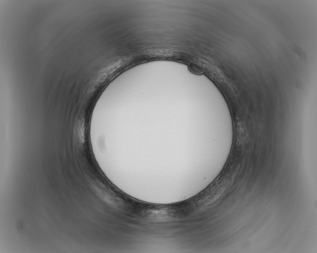 X0000113010068200909241401