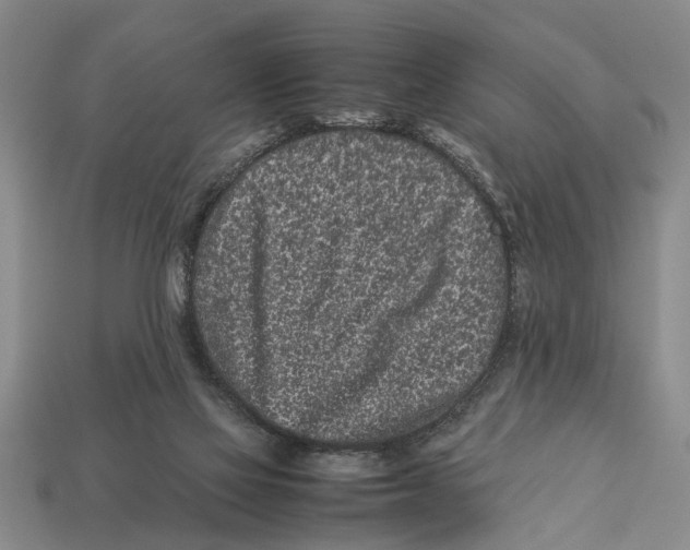 X0000113010069200909241401