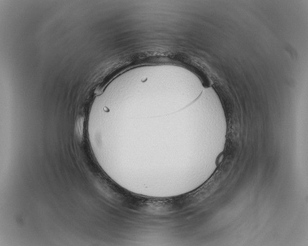 X0000113010070200909241401