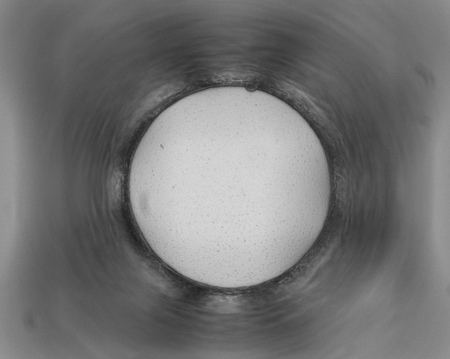 X0000113010071200909241401
