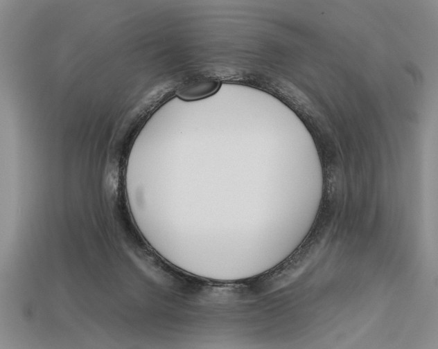 X0000113010072200909241401
