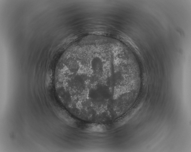 X0000113010073200909241401