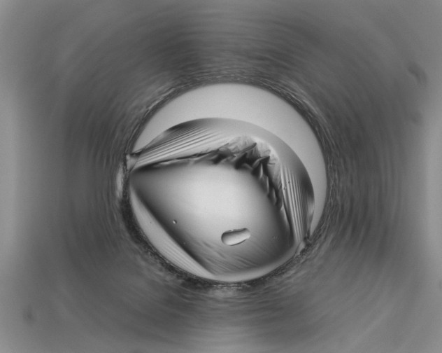 X0000113010076200909241401