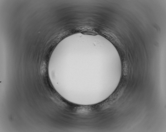 X0000113010077200909241401