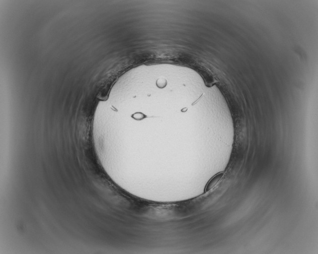 X0000113010078200909241401
