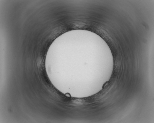 X0000113010079200909241401