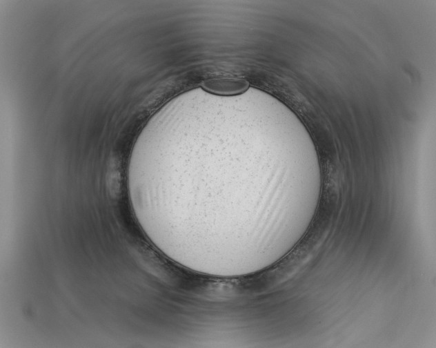 X0000113010080200909241401