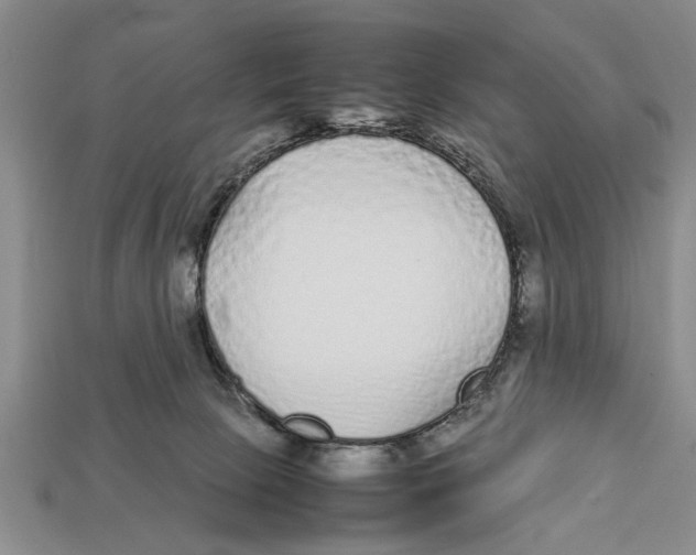 X0000113010081200909241401
