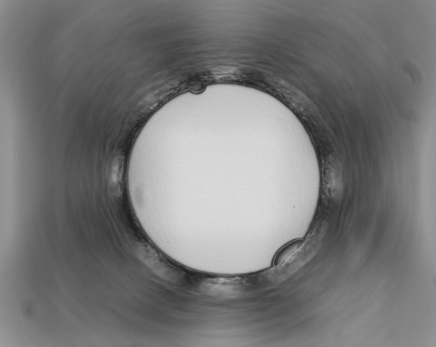 X0000113010082200909241401