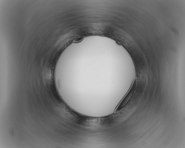 X0000113010084200909241401