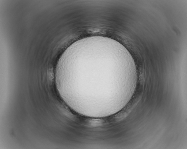 X0000113010085200909241401