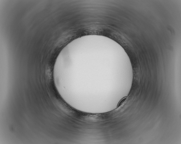 X0000113010086200909241401