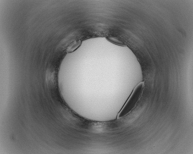 X0000113010088200909241401
