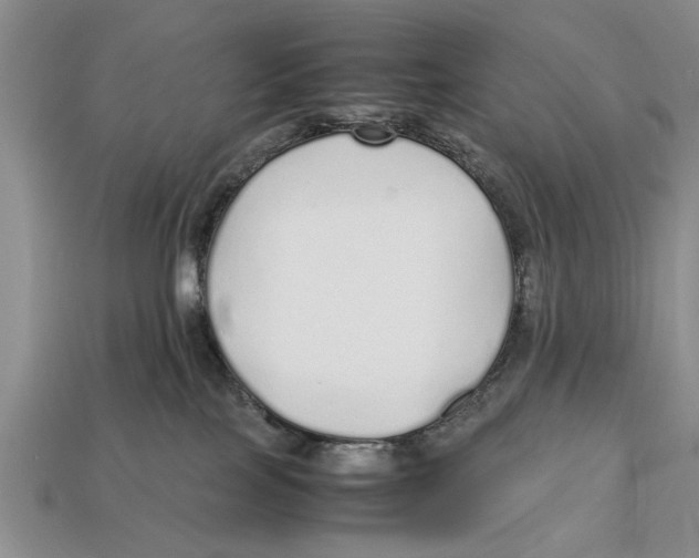 X0000113010089200909241401