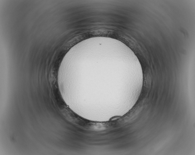 X0000113010091200909241401