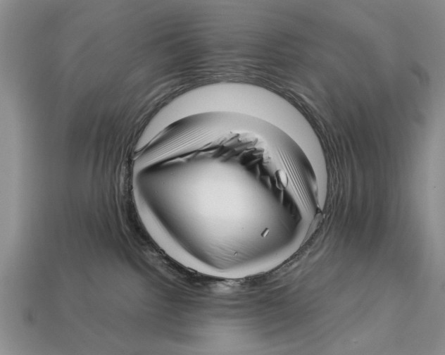 X0000113010092200909241401