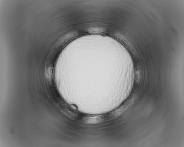 X0000113010093200909241401